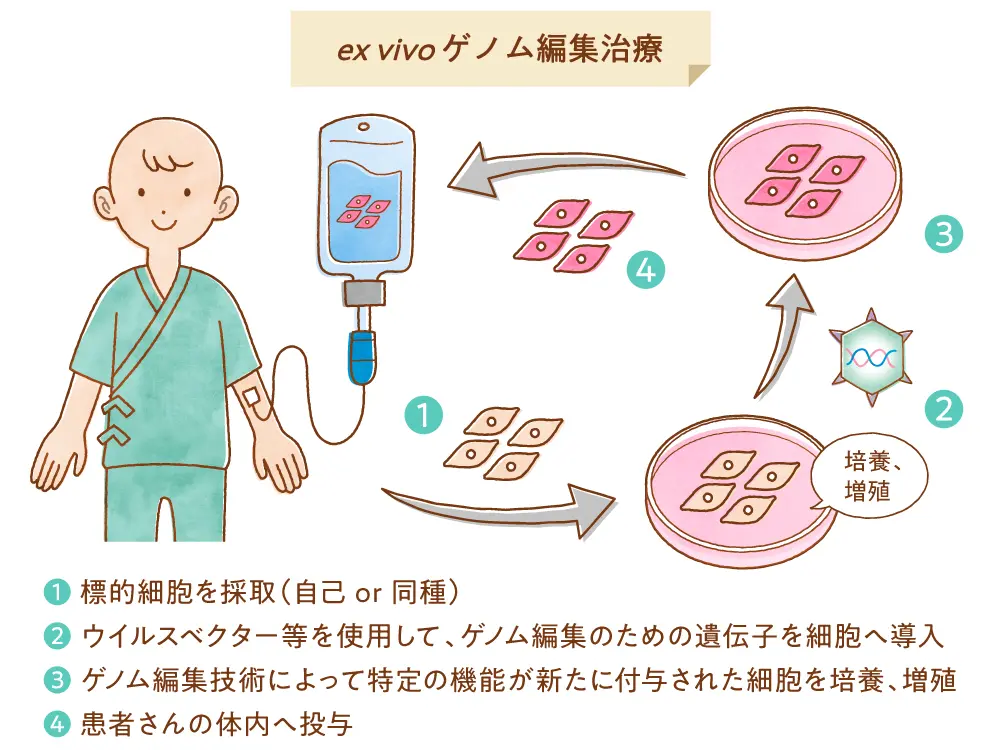 体内(in vivo)ゲノム編集と体外(ex vivo)ゲノム編集