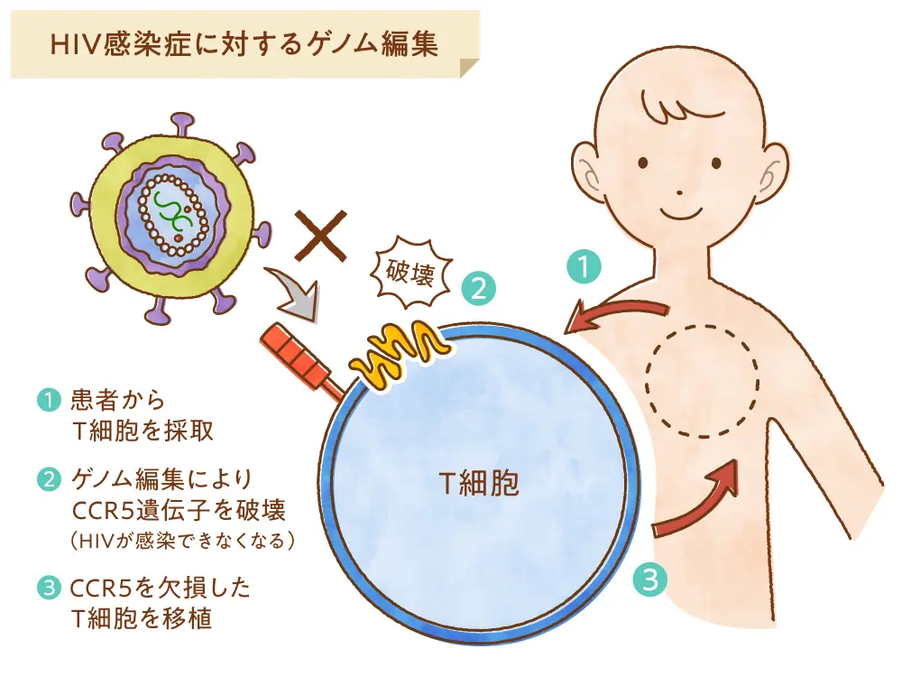 HIV感染症に対するゲノム編集