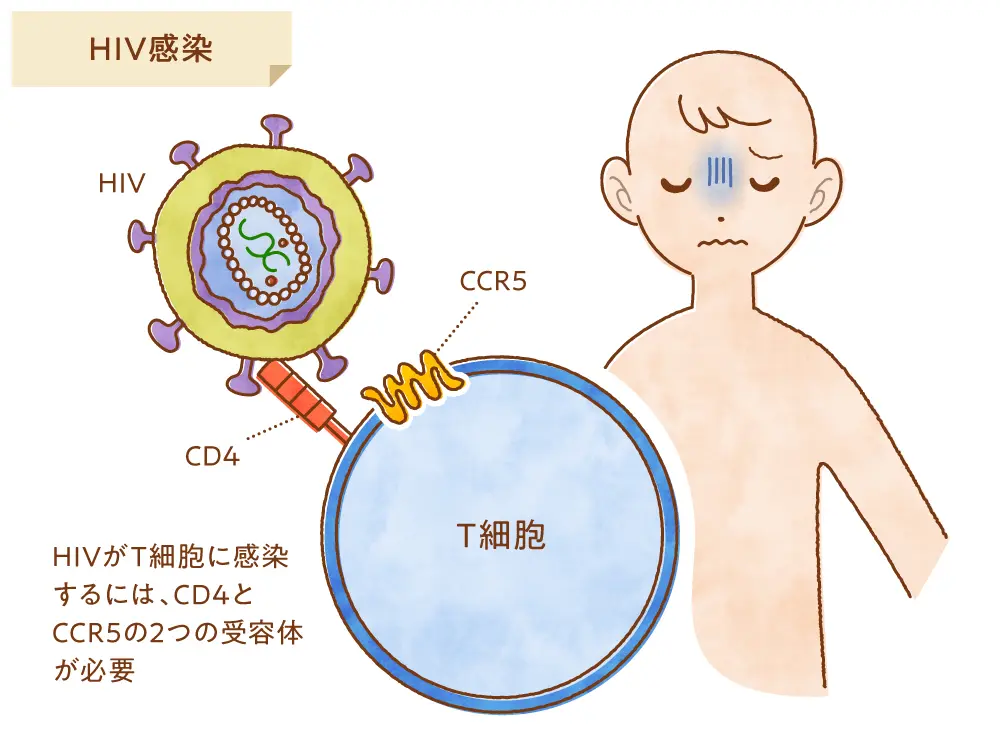 HIV感染症に対するゲノム編集